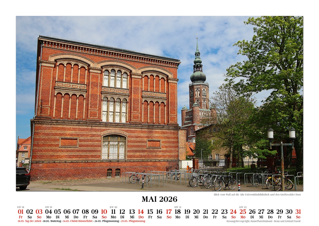 Blick vom Wall auf die Alte Universitätsbibliothek und den Greifswalder Dom