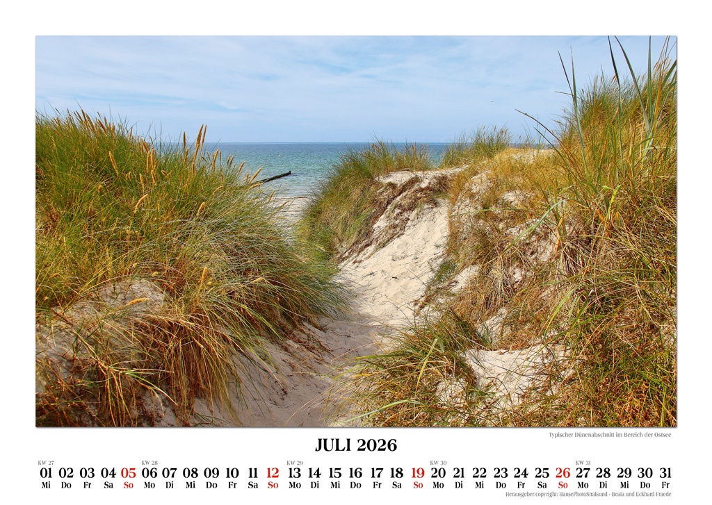Typischer Dünenabschnitt im Bereich der Ostsee