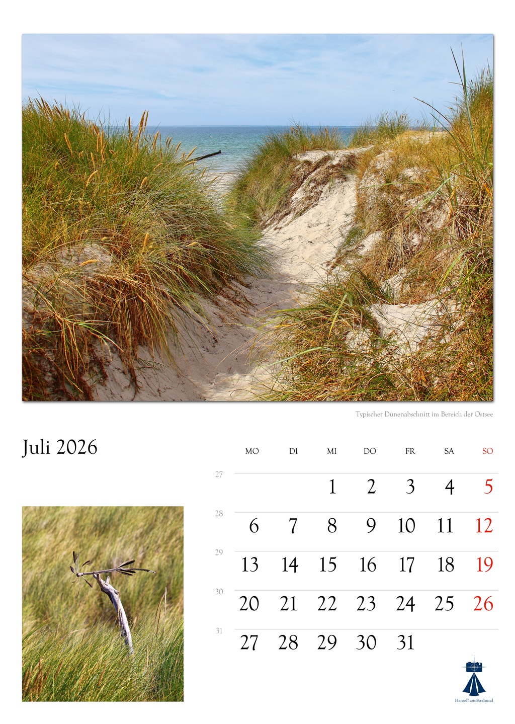 Typischer Dünenabschnitt im Bereich der Ostsee