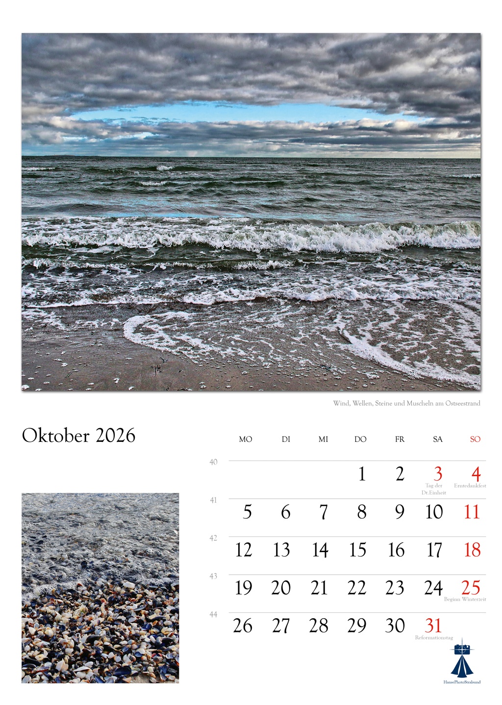 Wind, Wellen, Steine und Muscheln am Ostseestrand