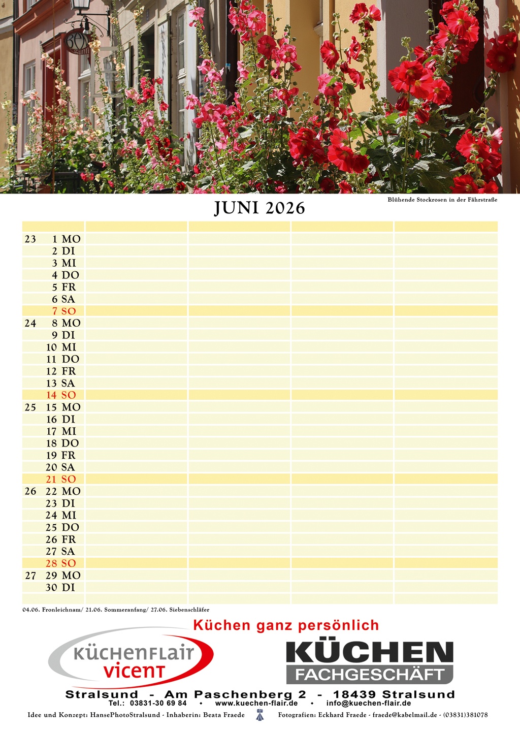 Blühende Stockrosen in der Fährstraße