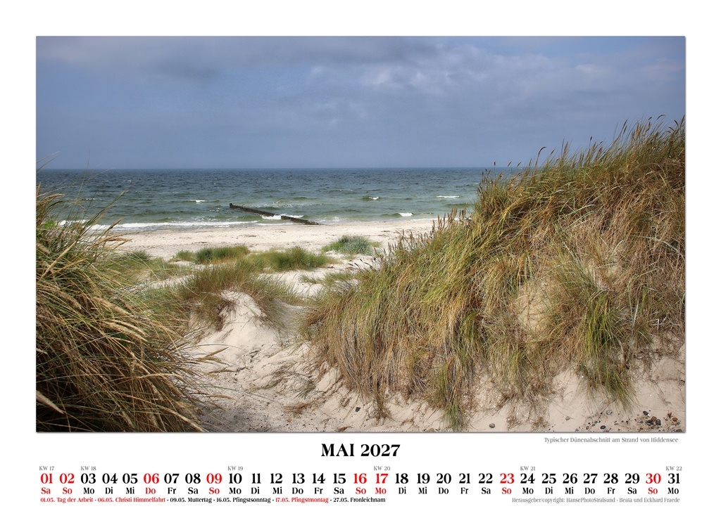 Typischer Dünenabschnitt am Strand von Hiddensee