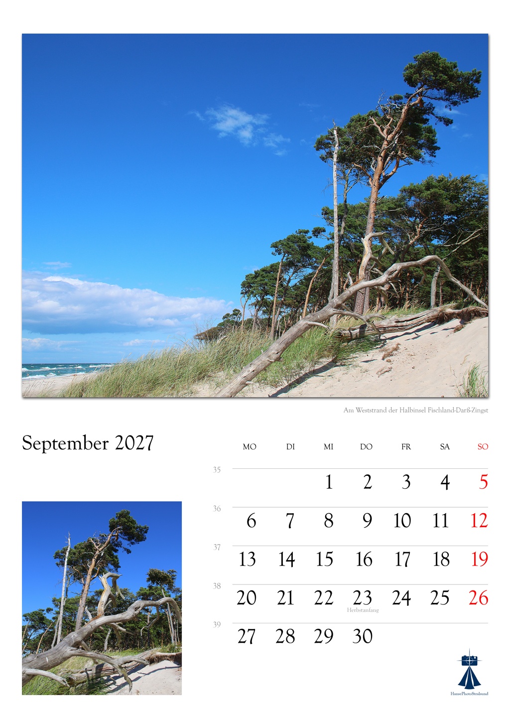 Am Weststrand der Halbinsel Fischland-Darß-Zingst